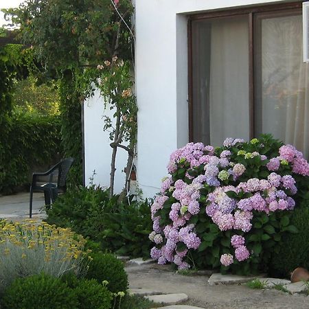 South Beach Villa 시네모레츠 외부 사진