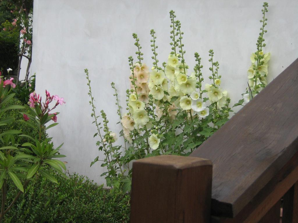 South Beach Villa 시네모레츠 외부 사진