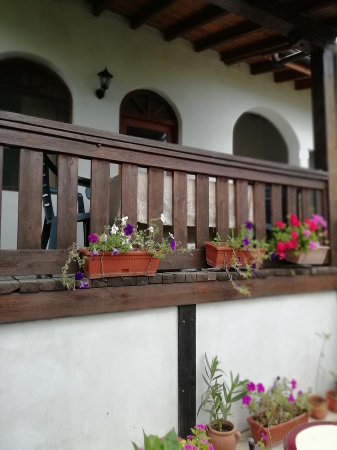 South Beach Villa 시네모레츠 외부 사진