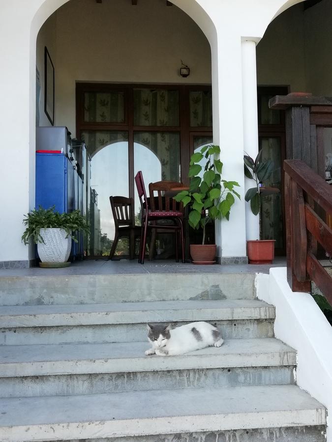 South Beach Villa 시네모레츠 외부 사진