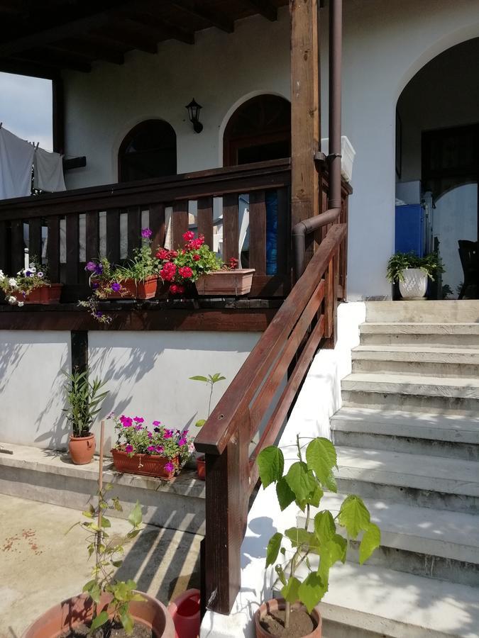 South Beach Villa 시네모레츠 외부 사진